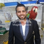 Mohamed ramadan sur yala.fm